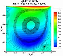 Image result for Images Tree Trunk Cavity