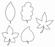 Image result for Full Page Leaf Template