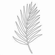 Image result for Tropical Palm Leaf Template