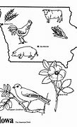 Image result for Iowa State Bird Coloring Page