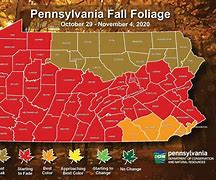 Image result for Fall Foliage Central Pennsylvania