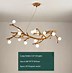 Image result for Tree Branch Chandelier