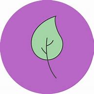 Image result for Leaf Icon Vector