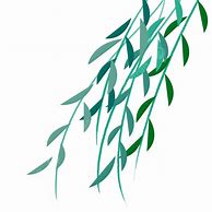 Image result for Willow Tree Branch Illustration