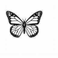 Image result for Butterfly Vinyl Sticker Template