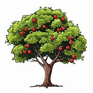 Image result for Apple Tree Images. Free