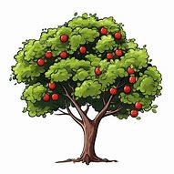 Image result for Apple Tree with Majors Vector