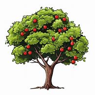 Image result for Hera's Golden Apple Tree