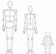 Image result for Human Figure Proportion Drawing Lesson