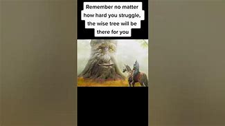 Image result for AST Tree Meme