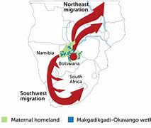 Image result for Homo Sapiens Vs. Human