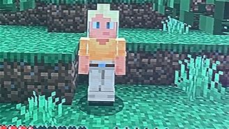 Image result for Minecraft Creeper Blew Up Steve