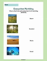 Image result for Ecosystem Matching Worksheet