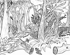 Image result for Kids Coloring Nature