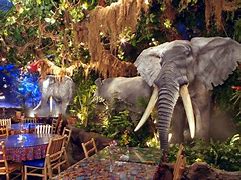 Image result for Rainbow Forest Cafe