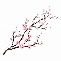 Image result for Cherry Blossom Tree Branches