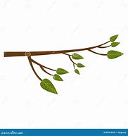 Image result for Tree Branch Icon