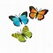 Image result for Butterfly Wall Art