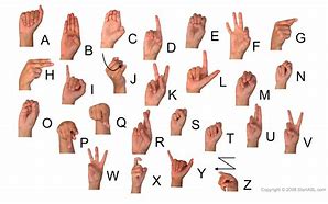 Image result for Alphabet Letters in Sign Language