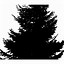 Image result for Pine Tree Silhouette Low Poly