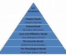 Image result for Basic Human Need Maslow Hierarchy