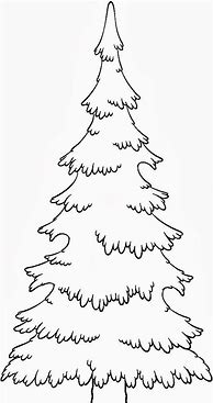 Image result for Pine Tree Coloring