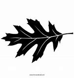 Image result for Red Oak Leaf Outline