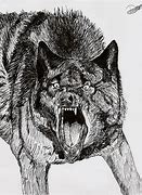 Image result for Angry Wolf Art