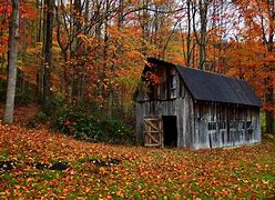 Image result for Autumn Page Background