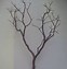 Image result for Dry Tree Branches Decoration