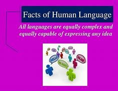 Image result for Types of Human Language