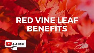 Image result for Leaf and Vine Stencils