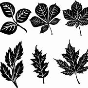 Image result for Six Leaf Plant Silhouette