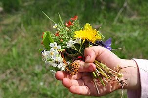 Image result for October Bouquet