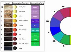 Image result for Índustry Correlation Chart