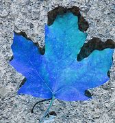 Image result for Fall Leaves Artwork