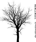 Image result for Large Oak Tree Silhouette