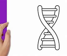 Image result for Drawing of DNA Strand