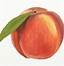 Image result for Draw Apple for Kids