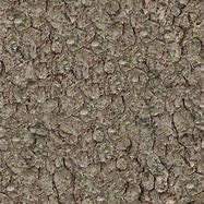 Image result for Tree Branch Leaf Texture