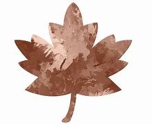 Image result for Leaf Image with a Brown Background