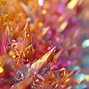 Image result for Colorful Laptop Wallpaper