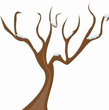 Image result for Tree Branch Cartoon Image