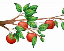 Image result for Simple Apple Tree Drawing