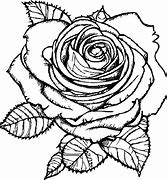 Image result for Advanced Rose Coloring Pages S