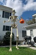 Image result for Skeleton Decoration Prop