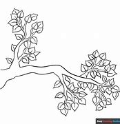 Image result for Branch Coloring Cartoons