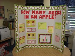 Image result for Science Fair Project Topic Ideas