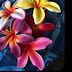 Image result for Head Sei Flowers Samoa