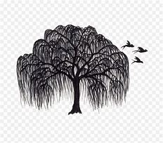 Image result for Black and White Graphic Art of Willow Tree Silhouette